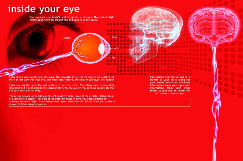Dundee Science Centre Secret Sight Aim Design